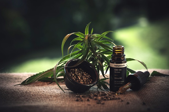 De wonderlijke wereld van CBD olie: gezondheidsvoordelen en toepassingen